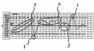 Picture of Abnormal Data Behavior Patterns on a Control Chart