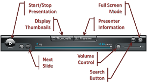 Flash Movie Controls Picture